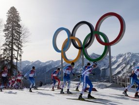 Виды спорта на зимней олимпиаде